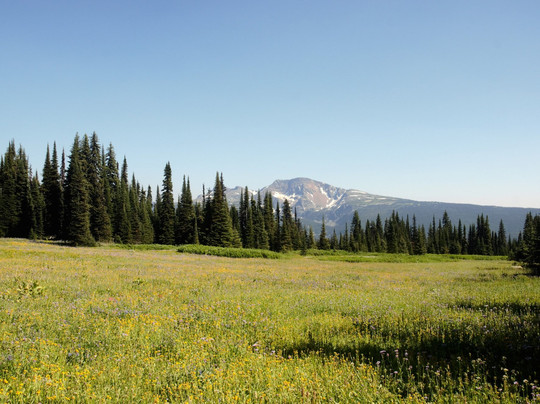 探索Wells Gray Provincal Park