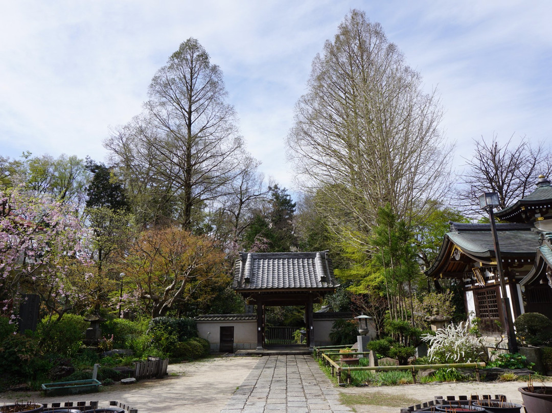 Mangyoji Temple景点图片