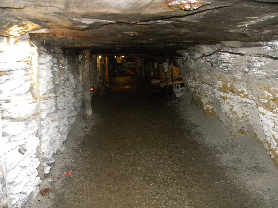 Tour-Ed Coal Mine景点图片