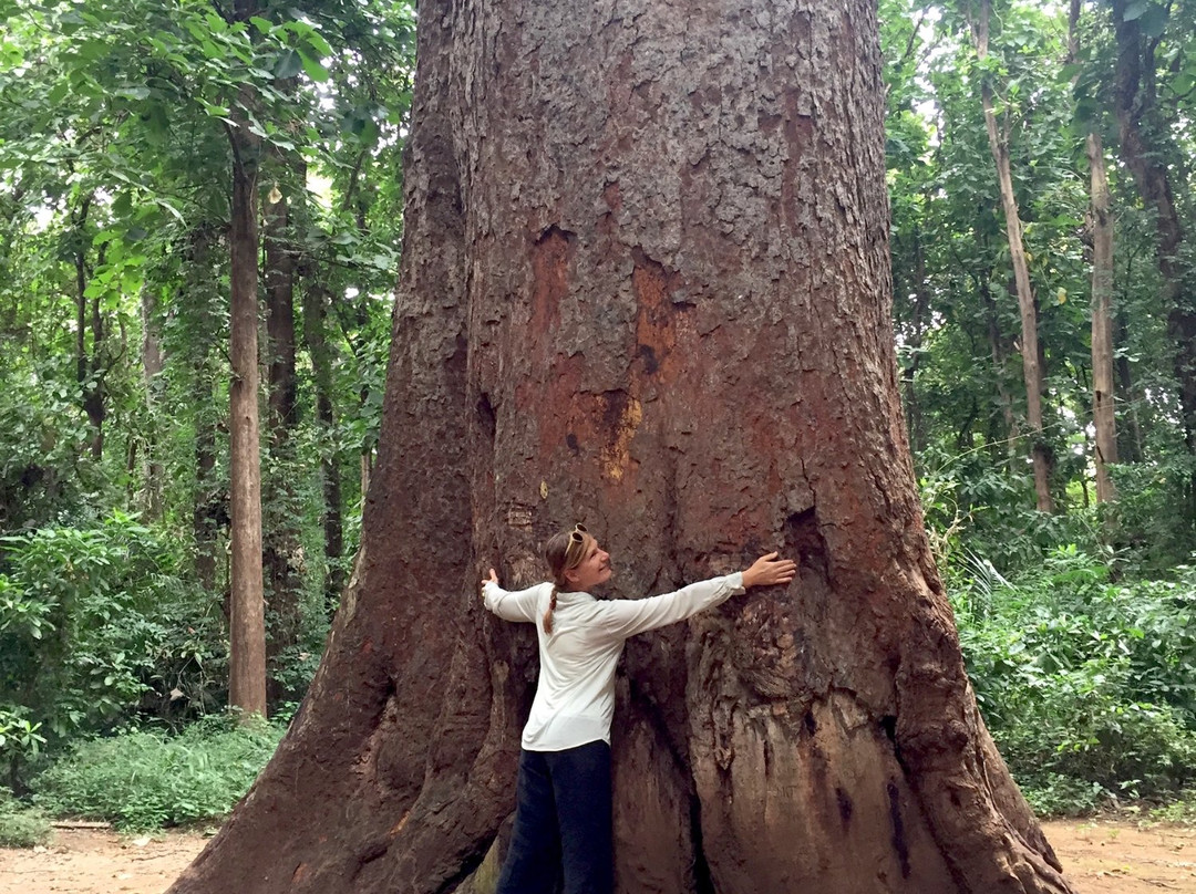 Rau Eco & Cultural Tourism Enterprise-莫西必去景点