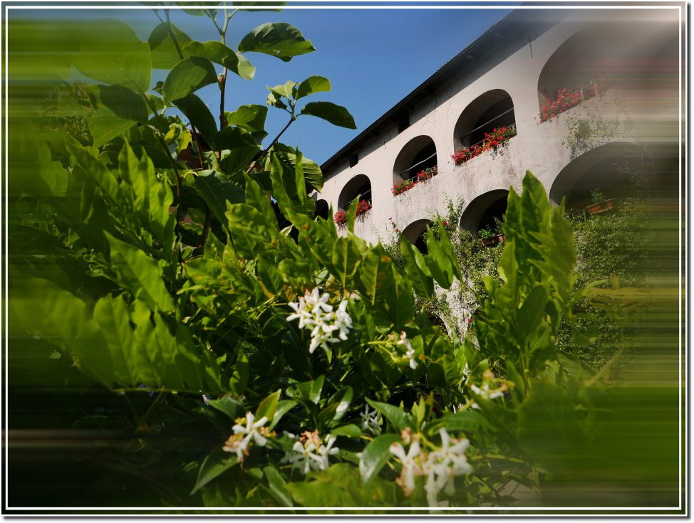 Losone酒店住宿-Casa Archi