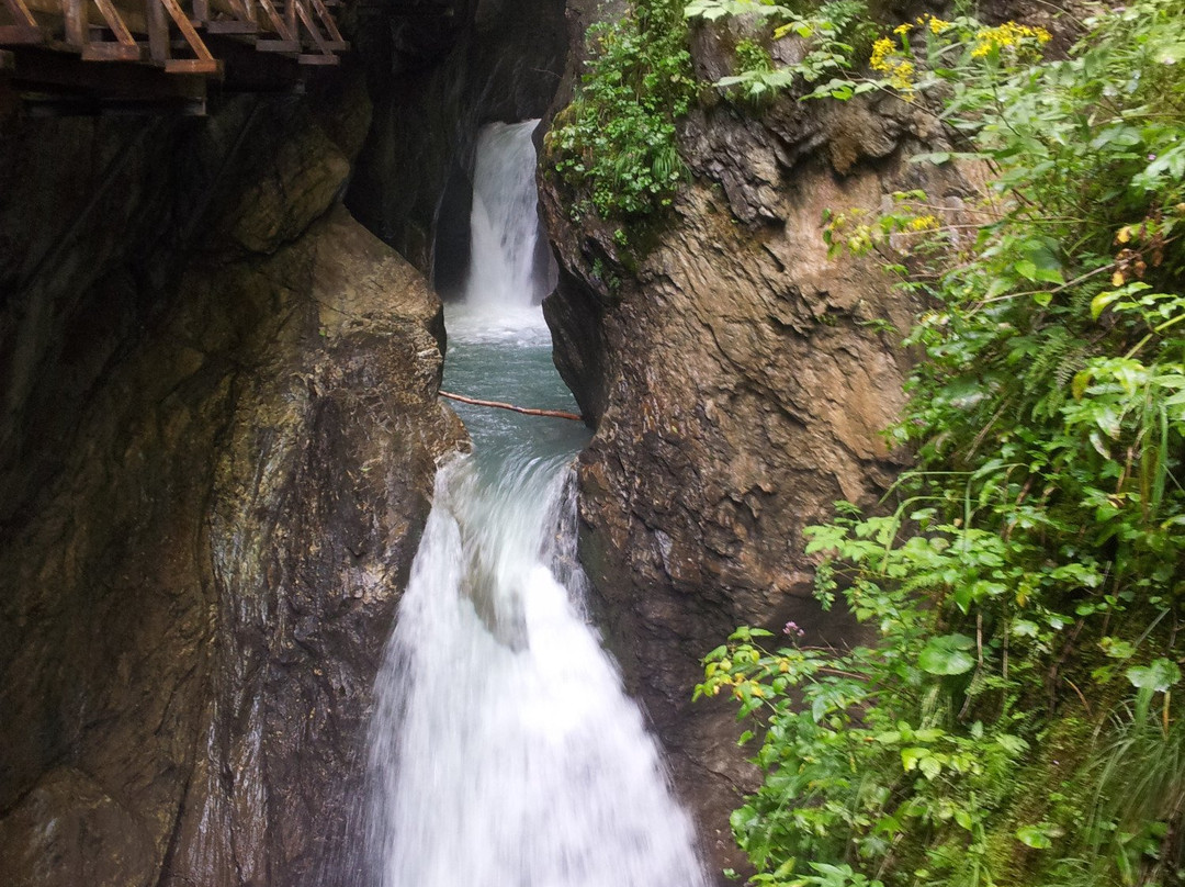 Zell & Roll-采尔湖畔必去景点