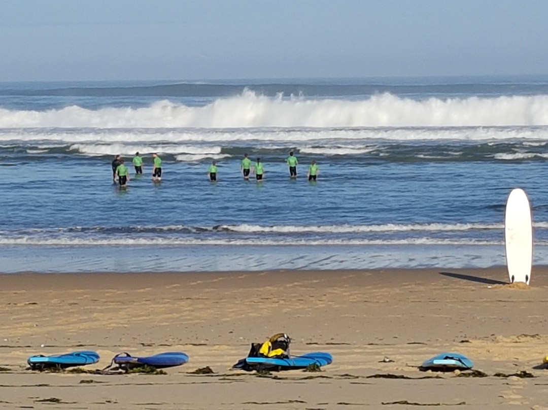 Alternative Surf School景点图片