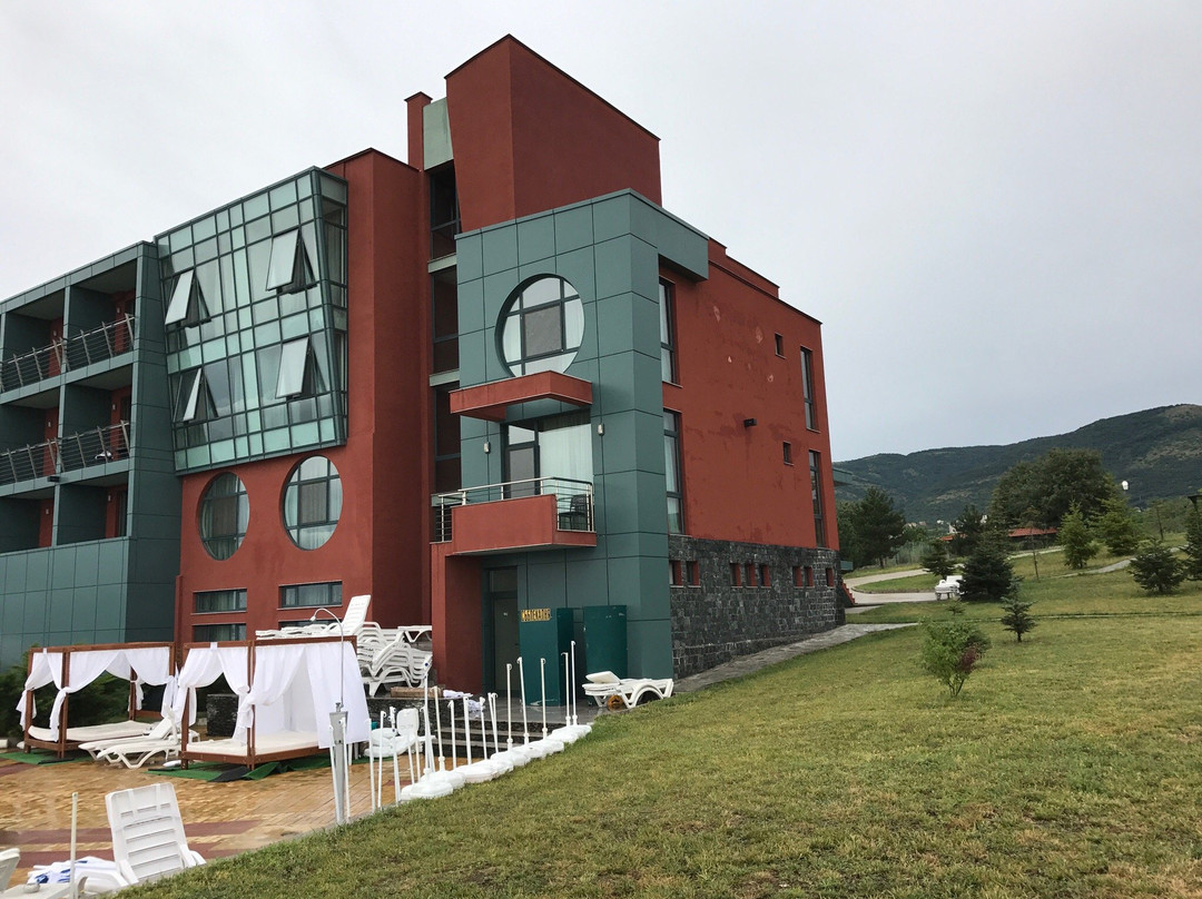 Dedovo酒店住宿-Park & Spa Hotel Markovo