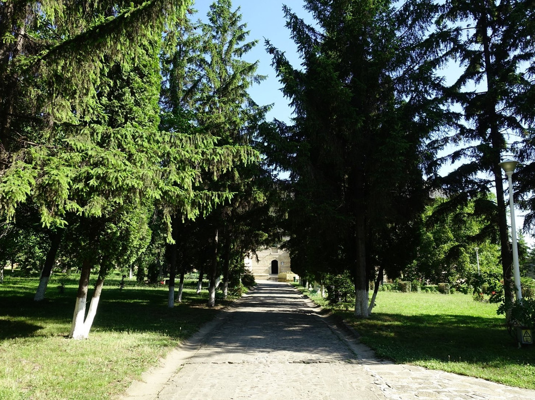 Galata Monastery (Mănăstirea Galata)景点图片