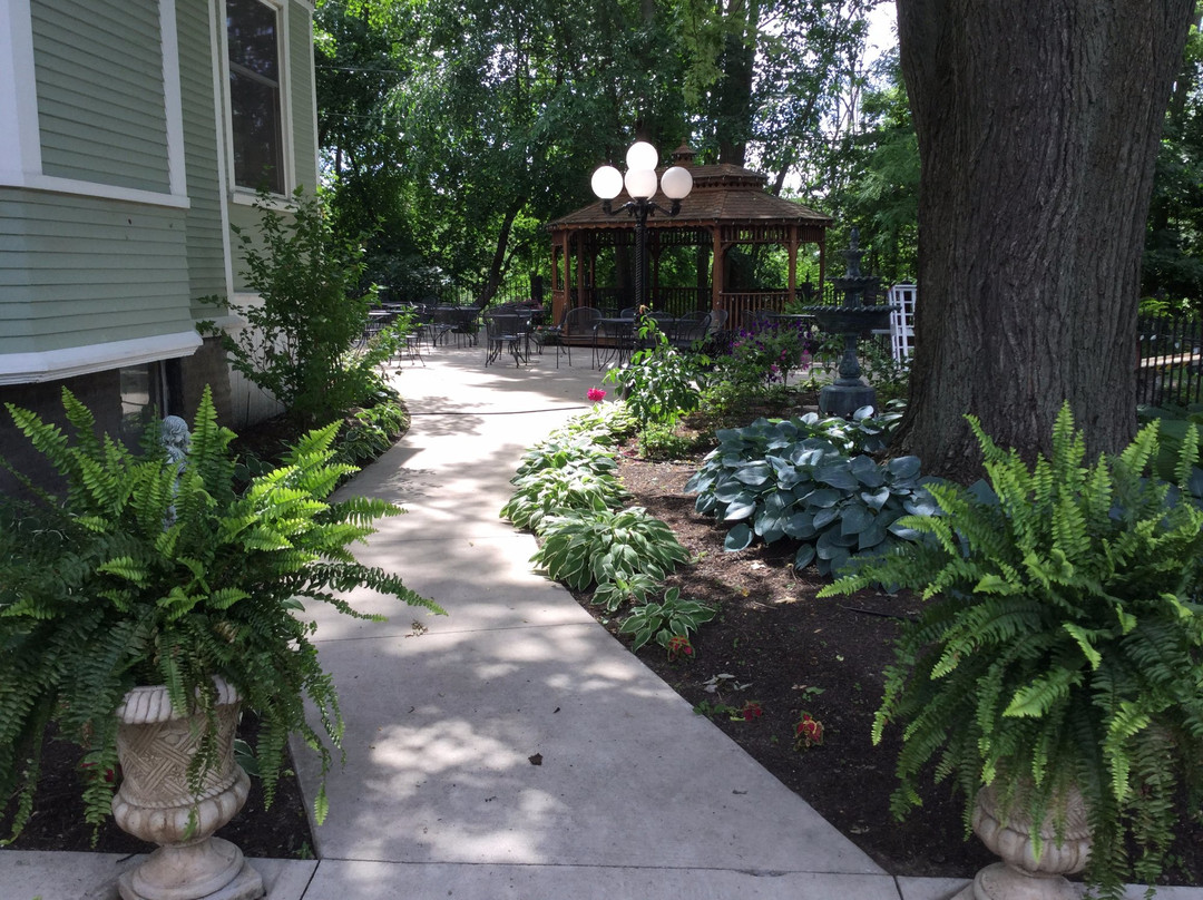 The Ginkgo Tree主图