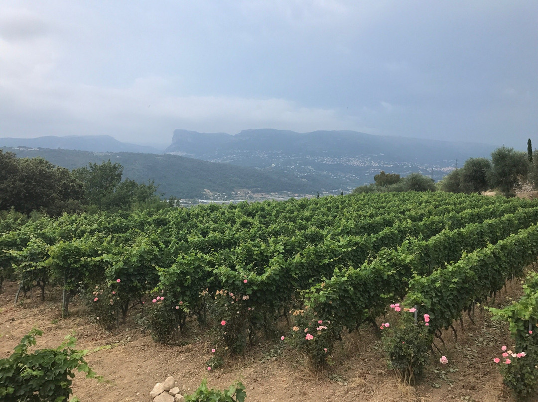 Domaine de Toasc-尼斯必去景点