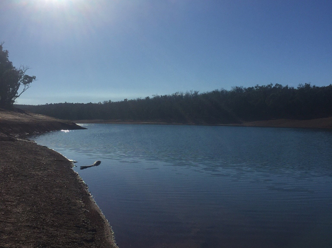 Lake Navarino Forest Park景点图片