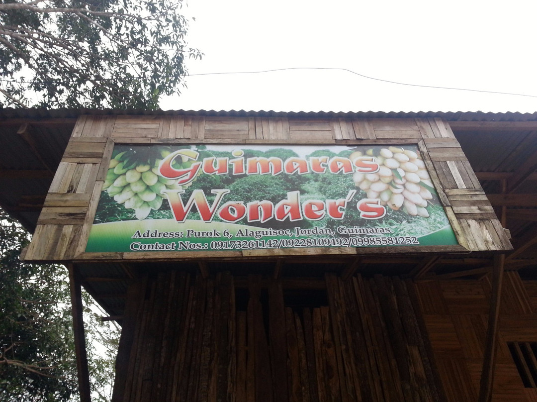 Guimaras Wonder's Farm景点图片