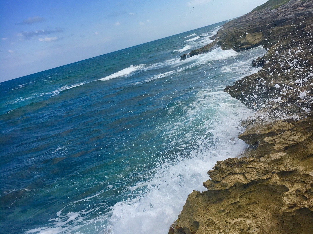 Isla Contoy旅游攻略图片