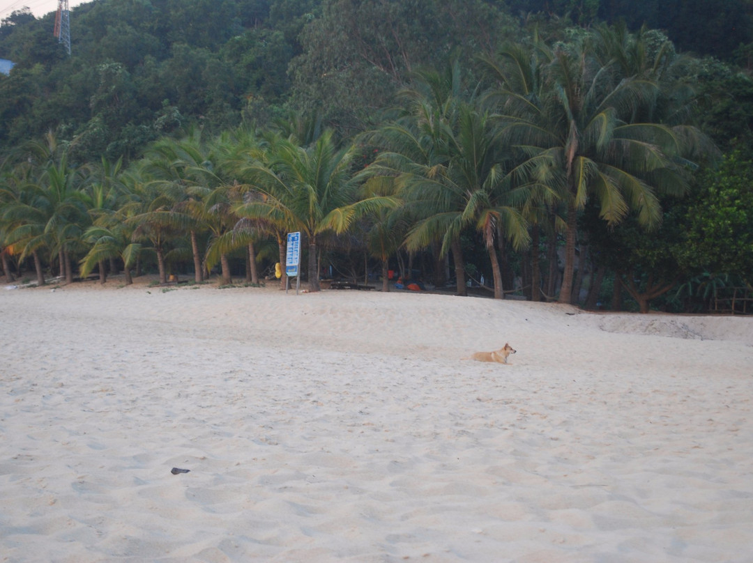 Cham Island酒店住宿-Lau Thu Homestay