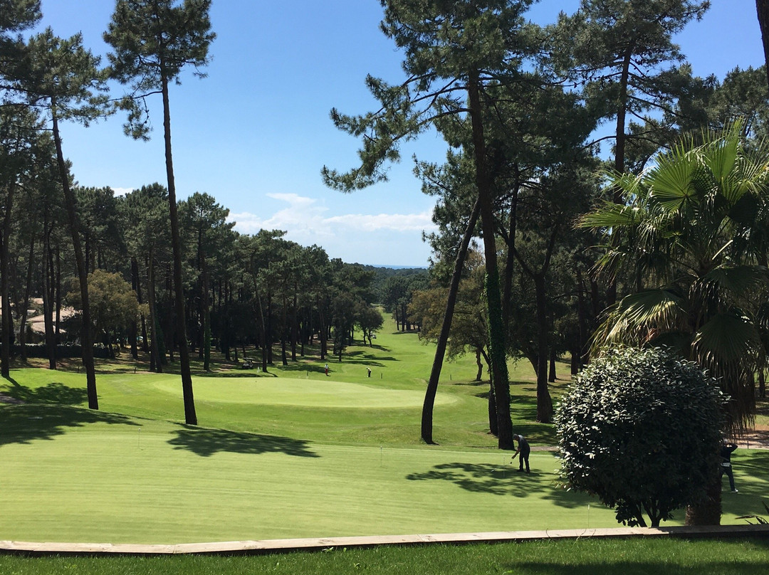 Golf de Seignosse景点图片