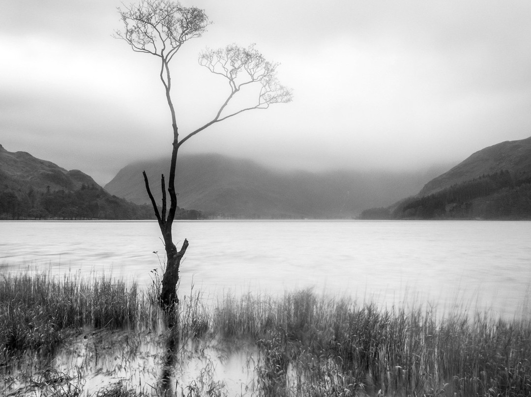 Light and Land景点图片