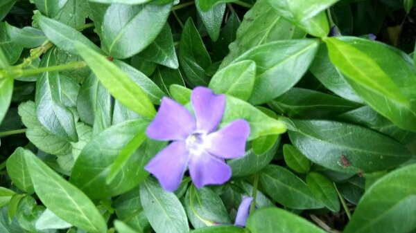 Woods Mill Nature Reserve景点图片