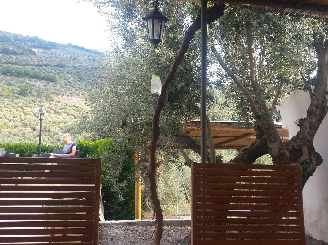 B&B Lasnavillasmm主图