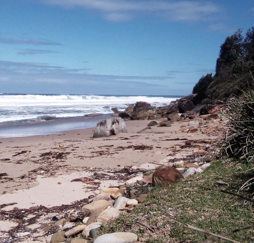 Werrong Beach-Royal National Park必去景点