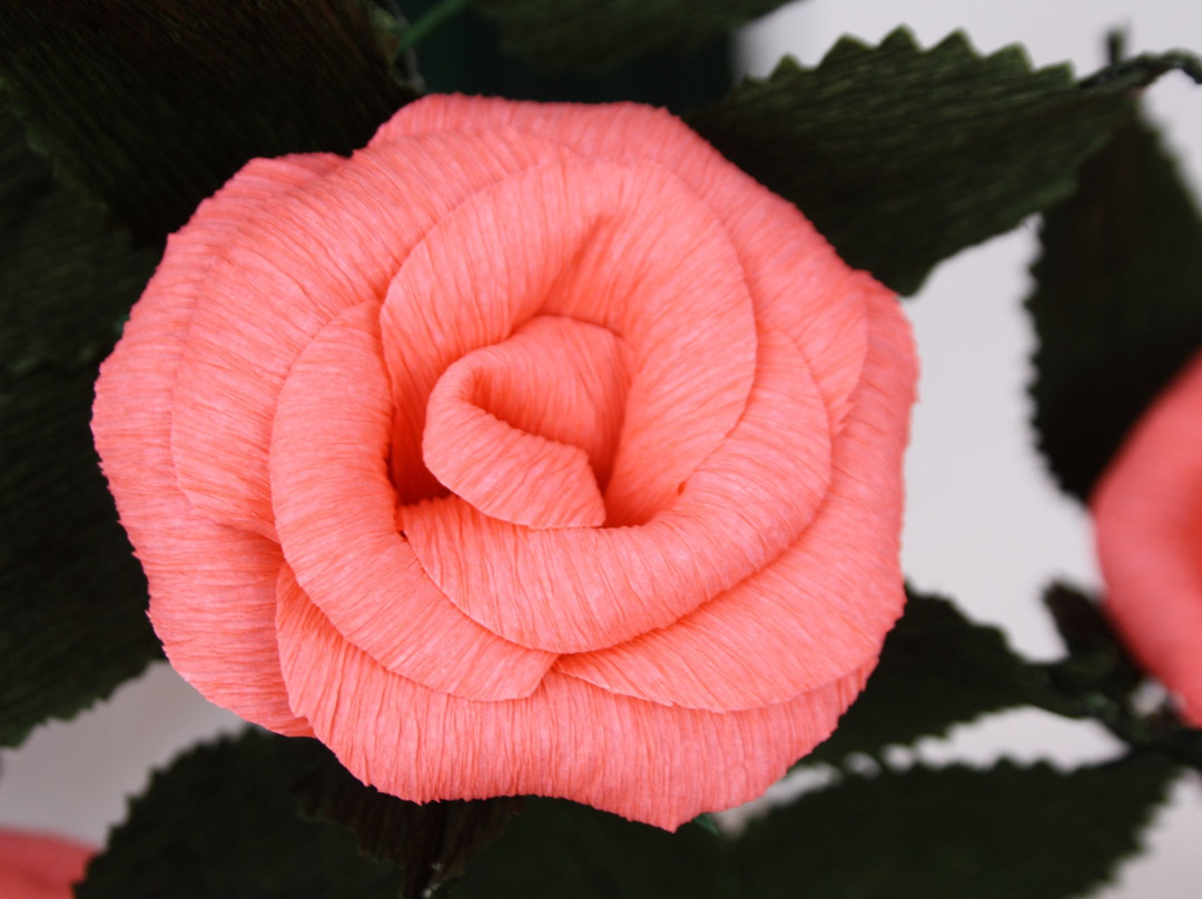 Castelo de Campo Maior-Campo Maior必去景点