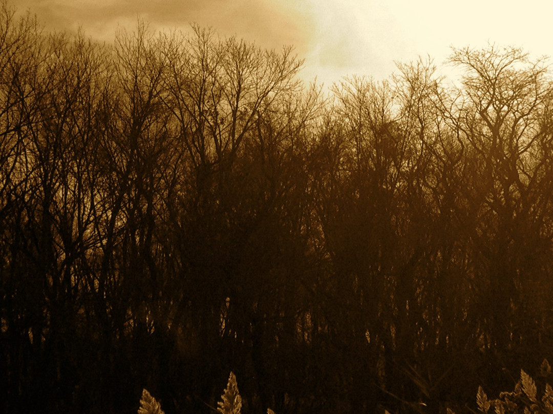 Daniel Webster Wildlife Sanctuary-Marshfield必去景点