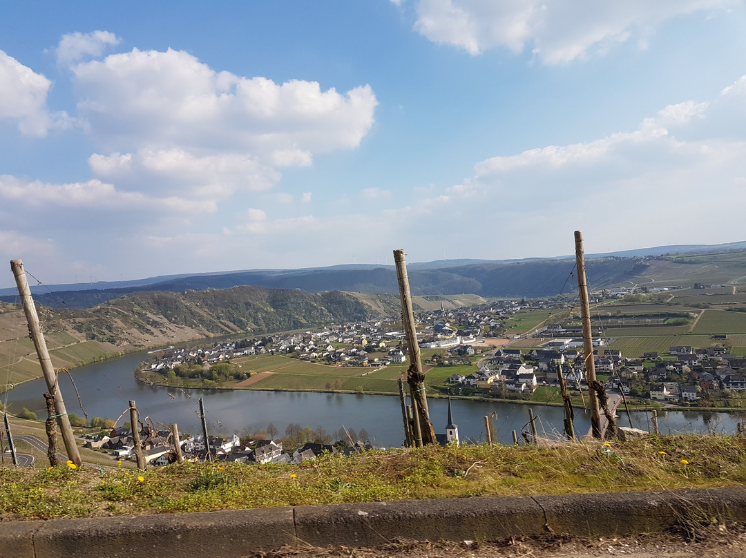 Weinschiff Neumagen Dhron景点图片
