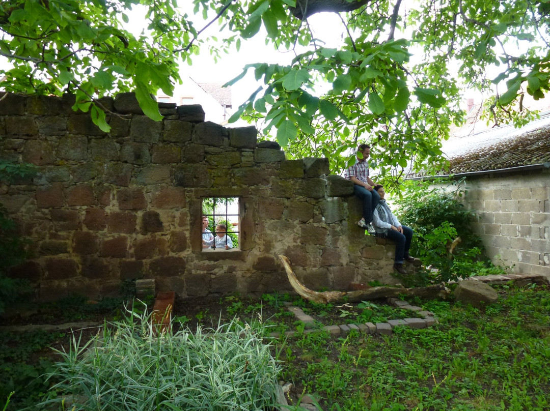 Rhodter Adler GmbH主图