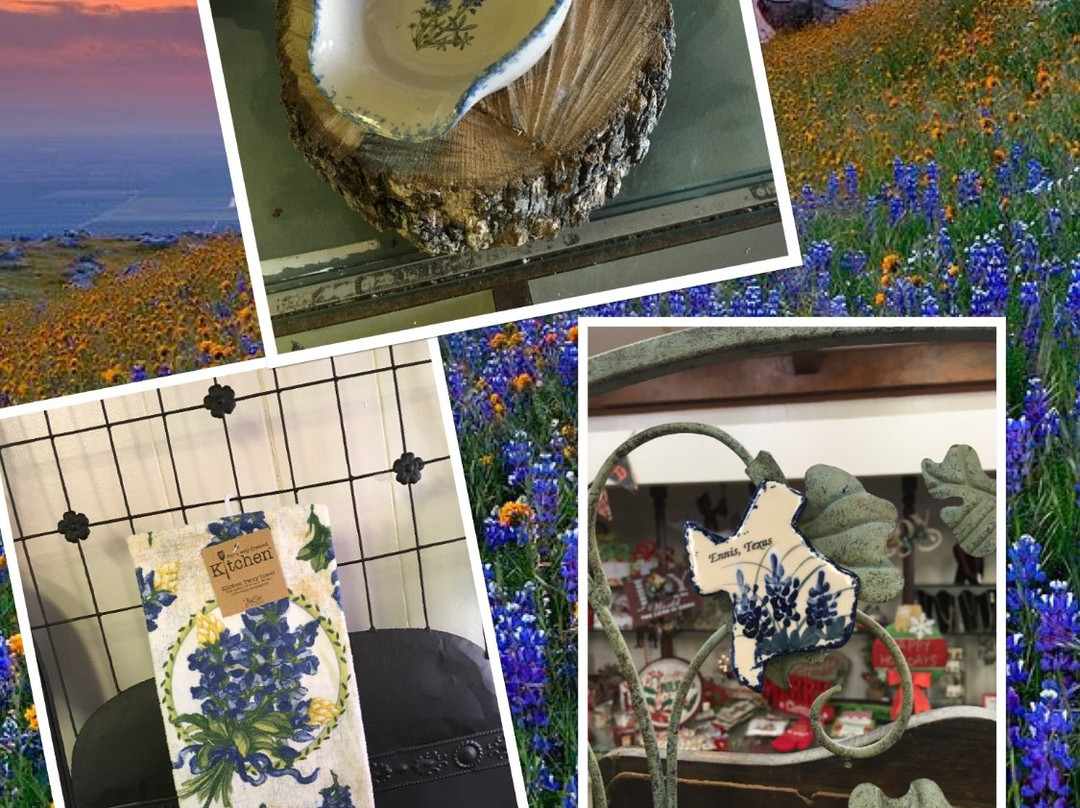 Felcman's Ladies Shop & Gifts-恩尼斯必去景点