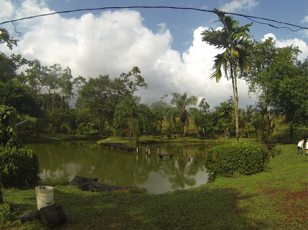 Puerto Viejo de Sarapiqui旅游攻略图片