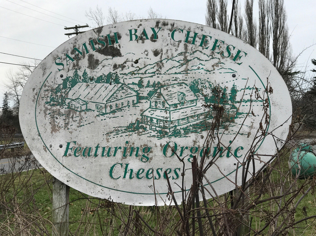 Samish Bay Cheese-Bow必去景点