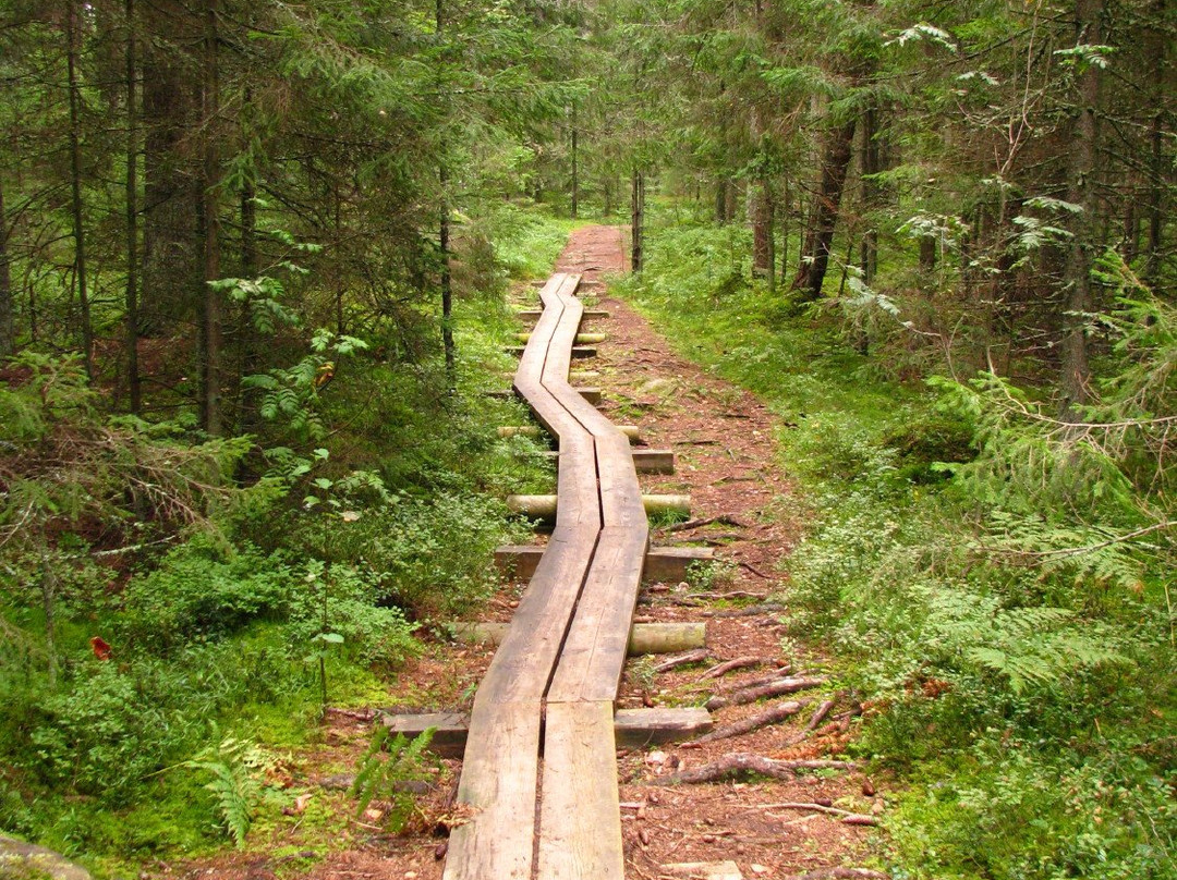 Majakivi-Pikanomme Trail-Virve必去景点