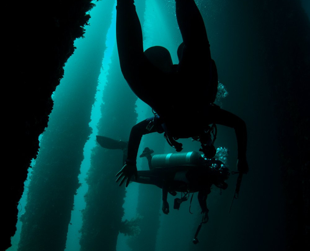 Livingseas Bali-登巴萨必去景点