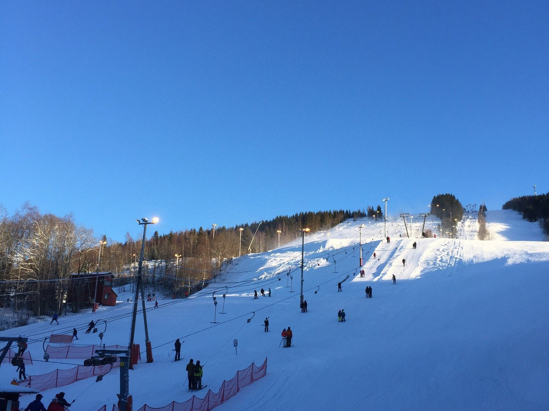 Hurdal Skisenter景点图片