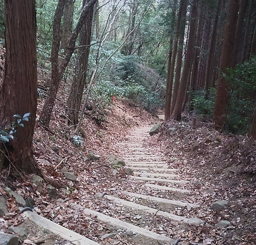 Inunakisan Izumikatsuragi Mountain Hiking Course-泉佐野市必去景点