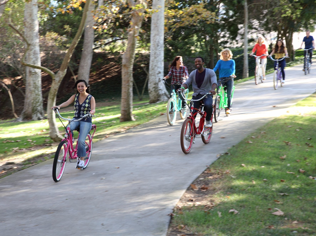 Pedego Electric Bikes Juno Beach-朱诺海滩必去景点