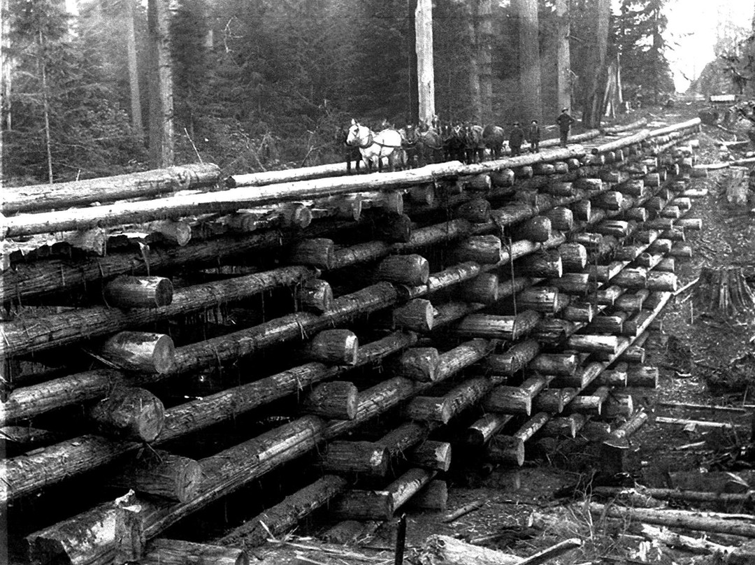 Markuby's Bar & Grill-Townsend必去景点