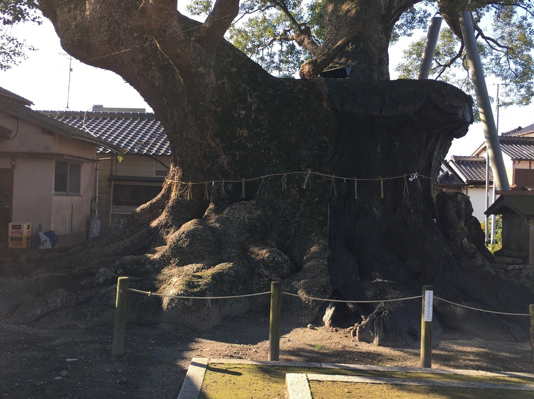 Kakurega no Mori-朝仓市必去景点