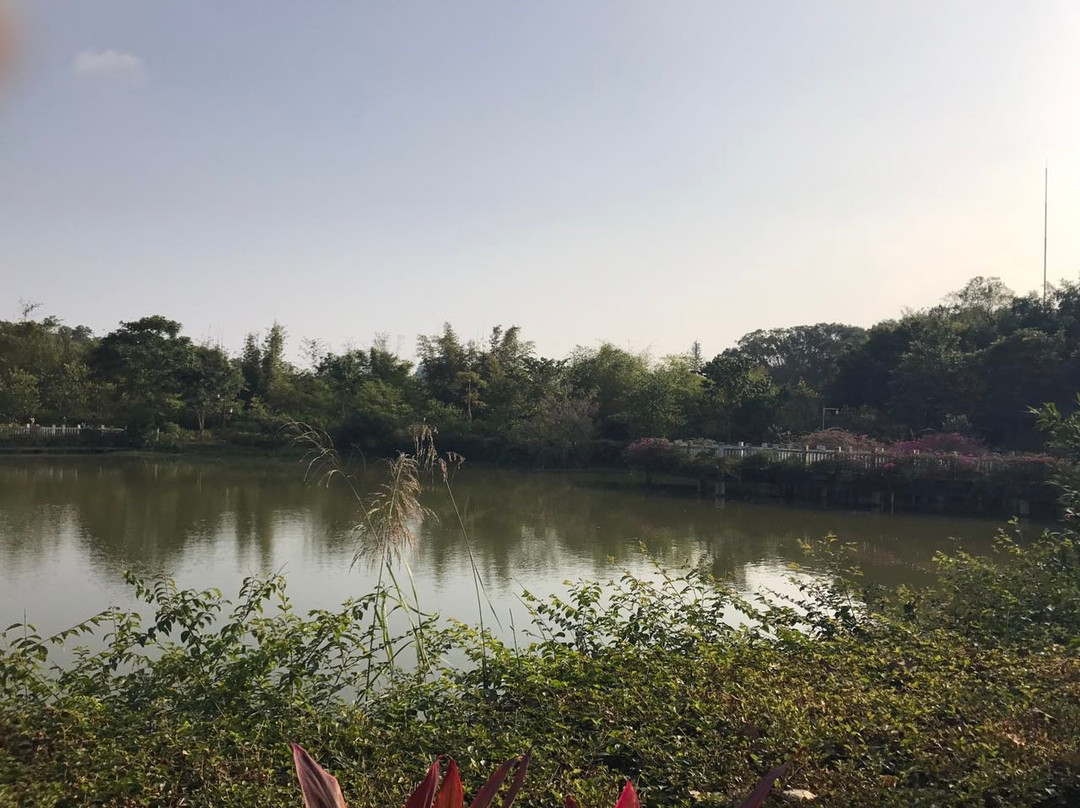 大屏障森林公园-东莞市必去景点