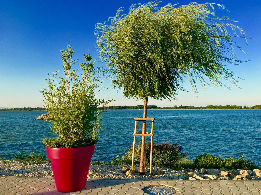 Hamuliakovo旅游攻略图片