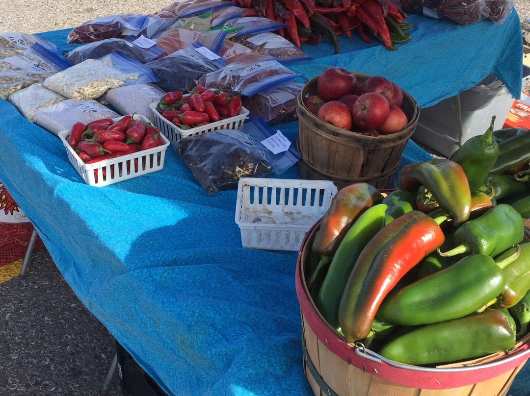 Expo New Mexico Open Air Flea Market-阿尔伯克基必去景点