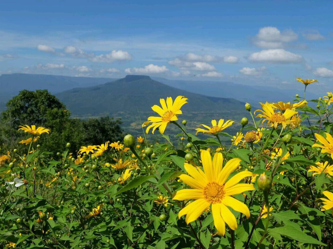 Phu Pa Po景点图片