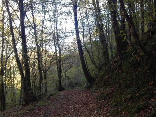 Calzada Romana-Barcena de Pie de Concha必去景点