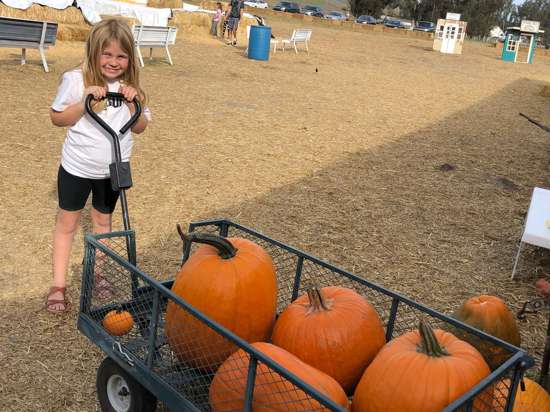 Petaluma Creamery-佩塔卢马必去景点