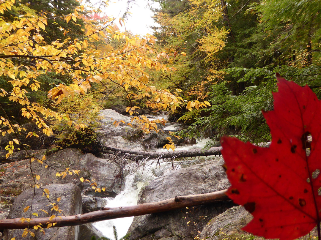 Texas Falls-Hancock必去景点
