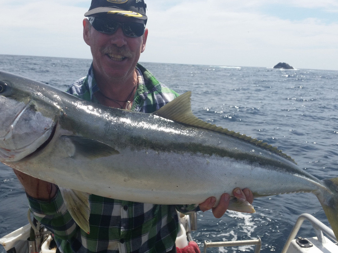 Oakura Bay Fish, Dive & Cruise景点图片