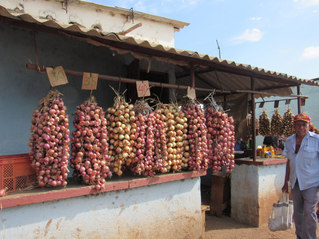Mercado Agropecuario El Rio景点图片