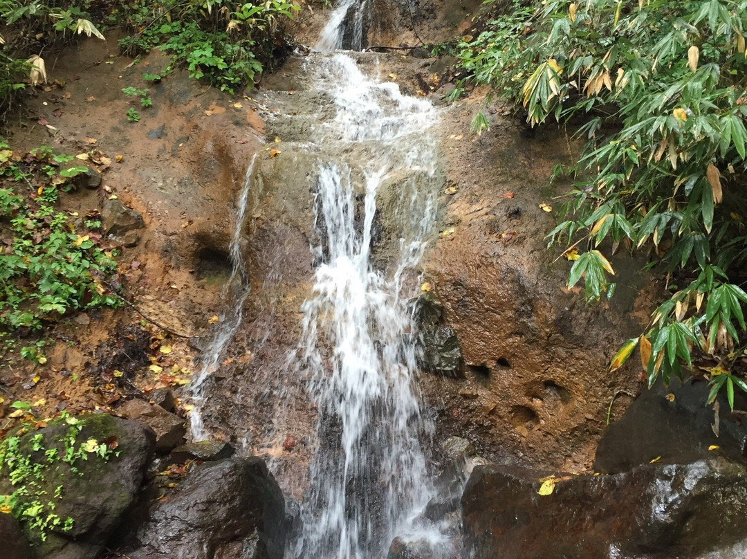 Togakushi Shrine-猪名川町必去景点