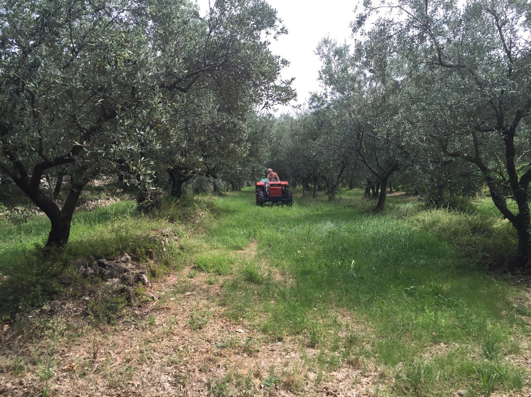 Azienda Agricola Dindo-Fumane必去景点