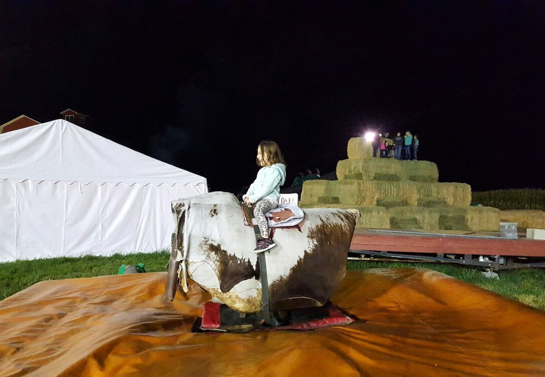 Linder Farms-默里迪恩必去景点