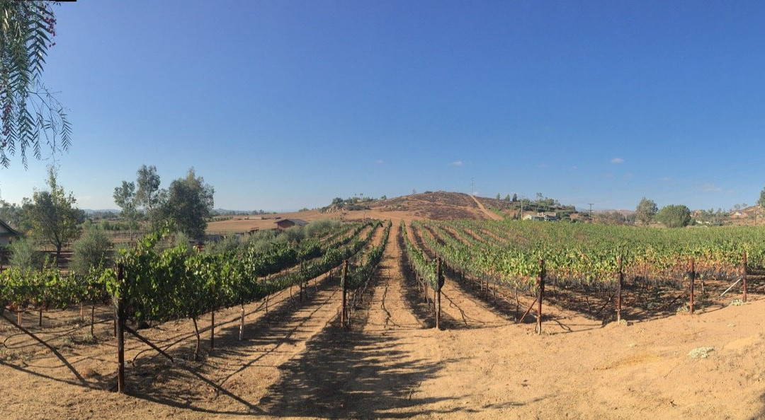 Chuparosa Vineyards景点图片