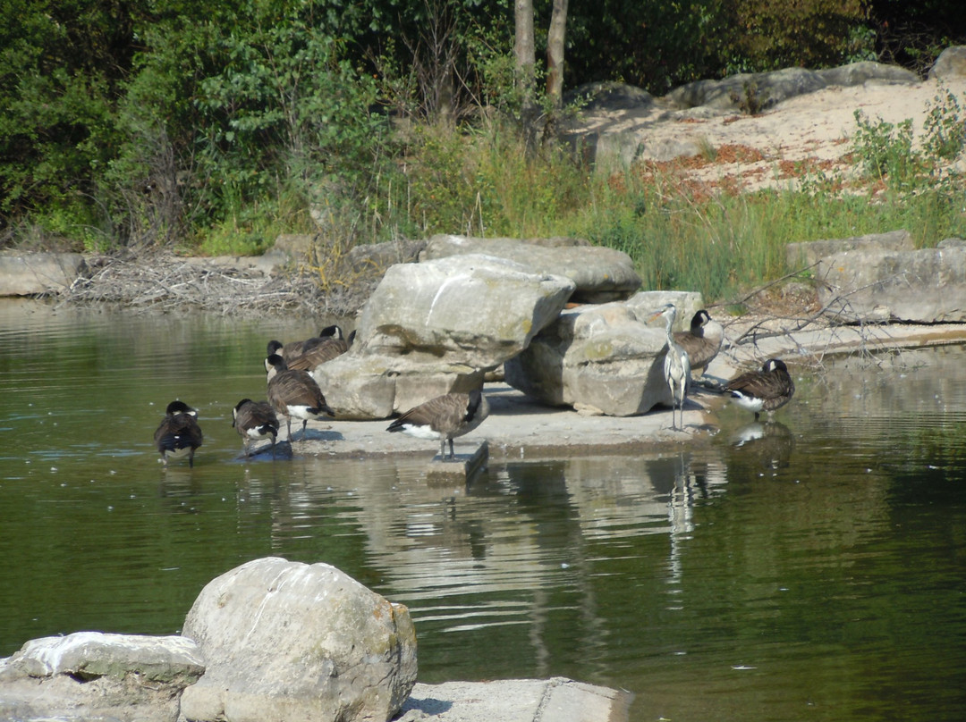 Parc des Chanteraines-Villeneuve-la-Garenne必去景点