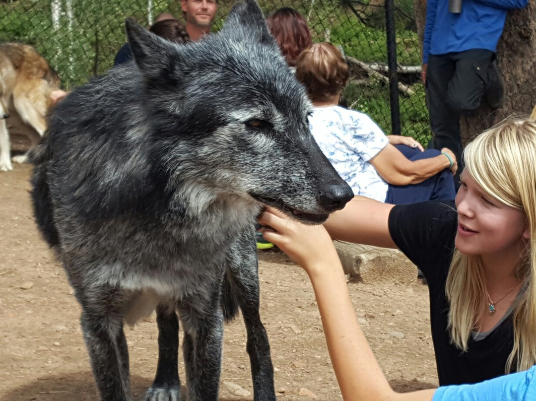 Mission: Wolf-Gardner必去景点