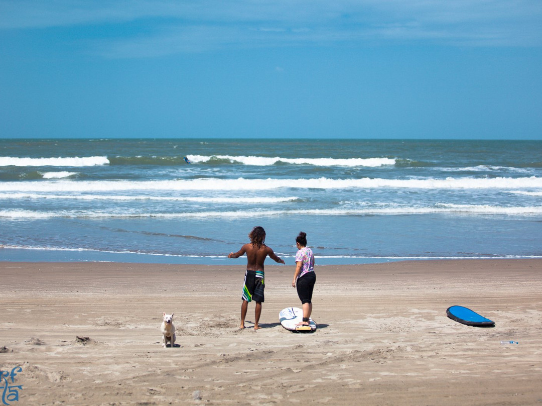 Surf Wala - Day Surfing-Arambol必去景点
